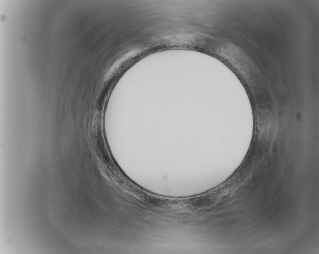 X0000086330583200704271944