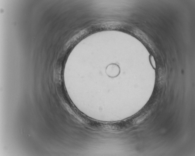 X0000086330585200704271944