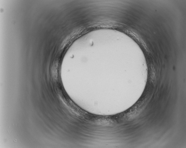 X0000086330586200704271944