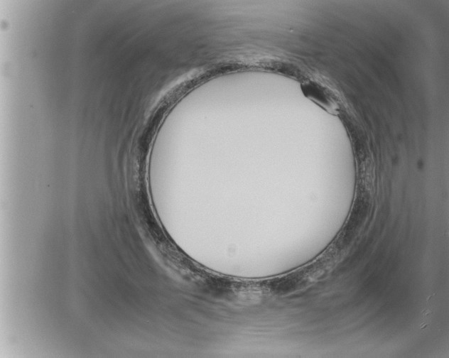 X0000086330587200704271944