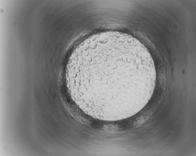 X0000086330591200704271944