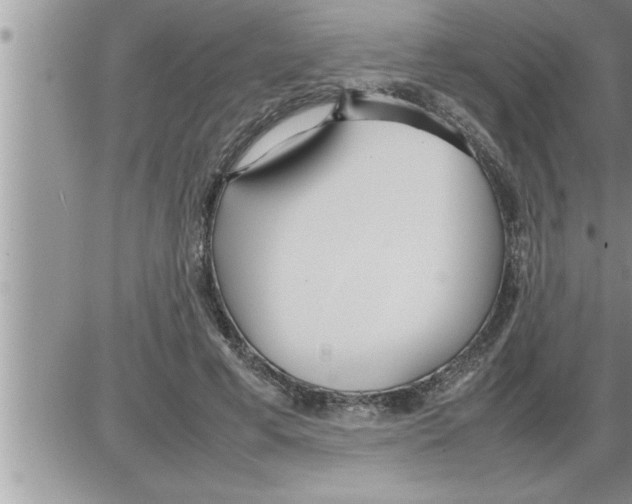 X0000086330593200704271944