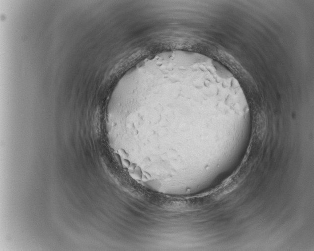 X0000086330594200704271944