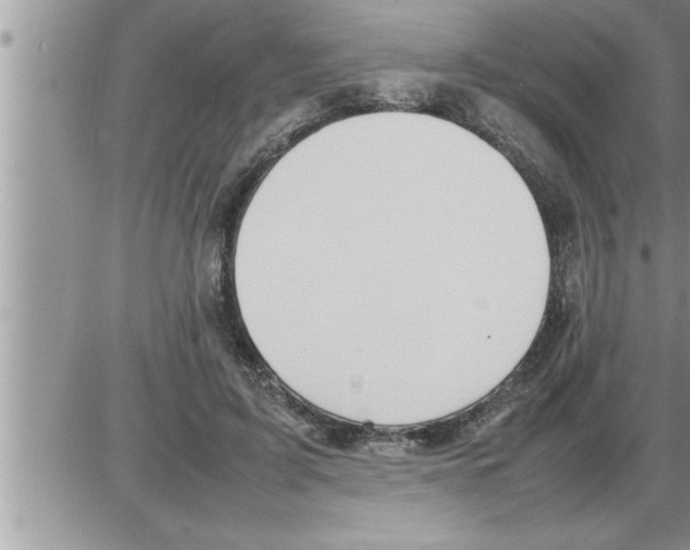 X0000086330595200704271944