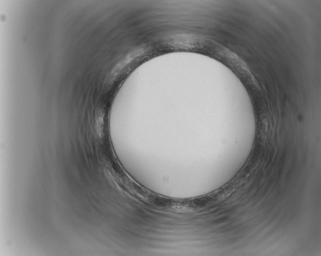 X0000086330596200704271944