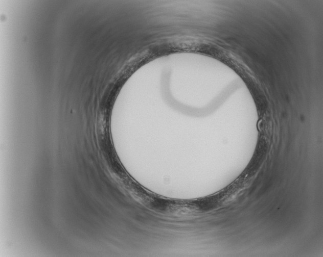 X0000086330597200704271944