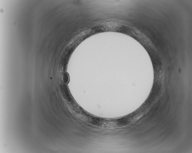 X0000086330599200704271944