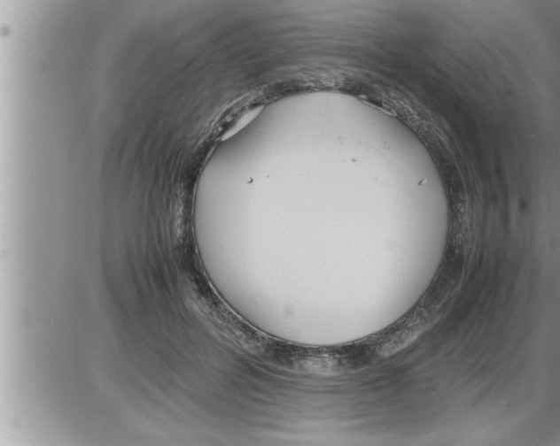 X0000086330600200704271944