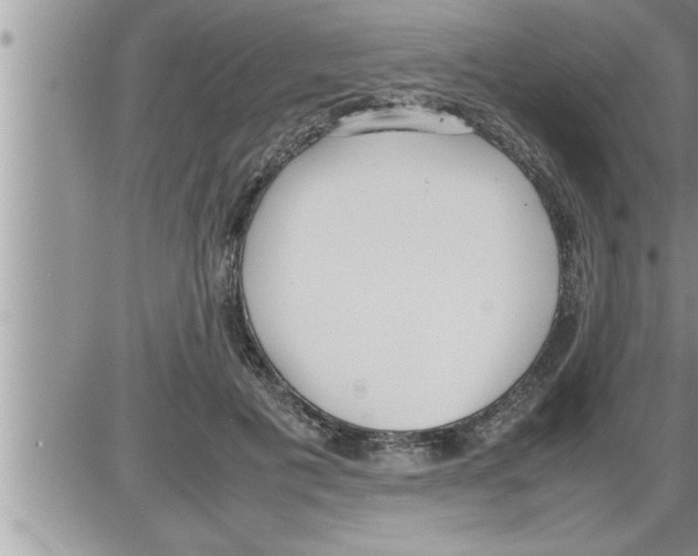 X0000086330601200704271944