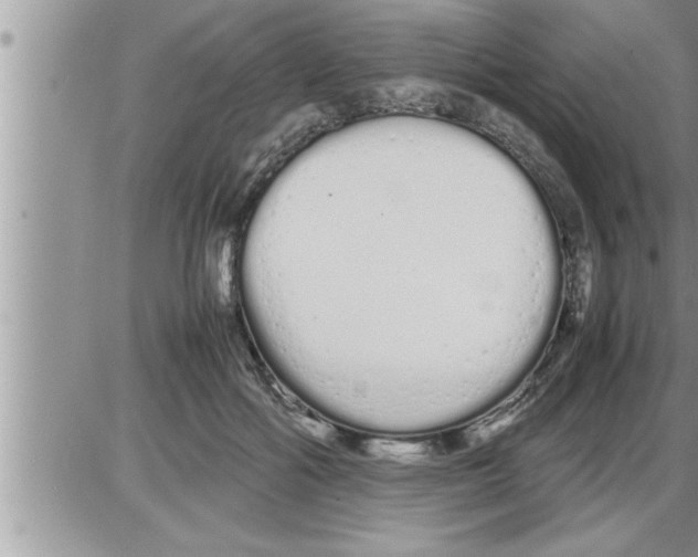 X0000086330602200704271944