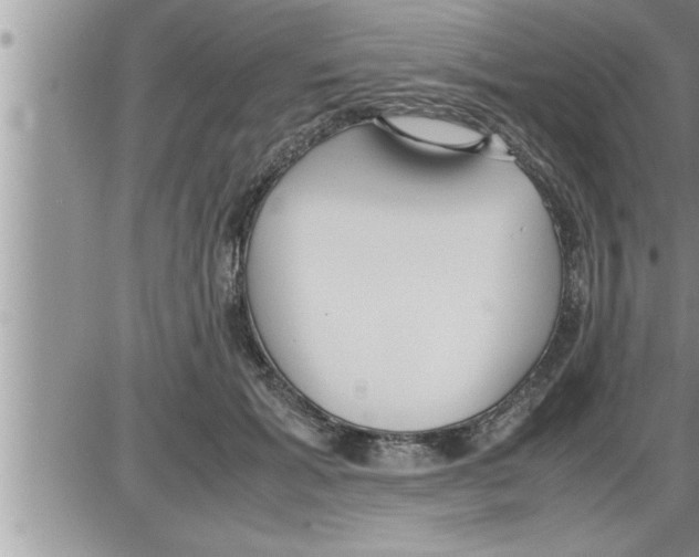 X0000086330605200704271944