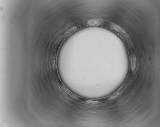 X0000086330606200704271944