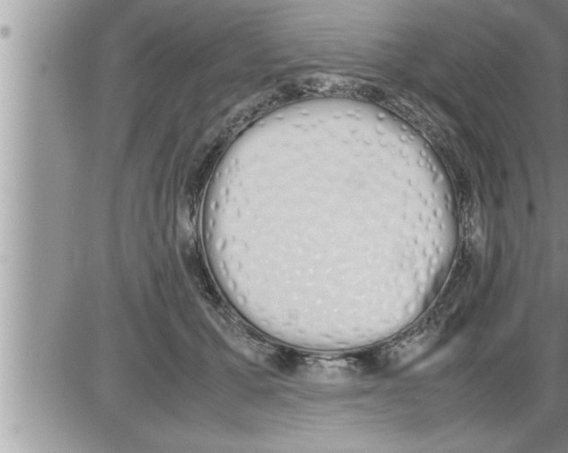 X0000086330607200704271944