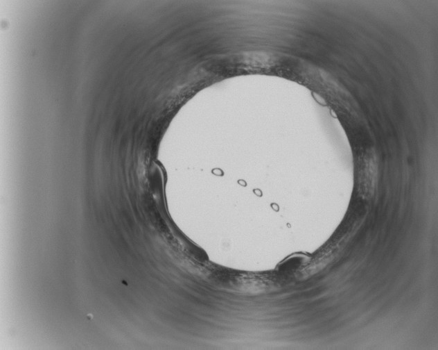 X0000086330608200704271944