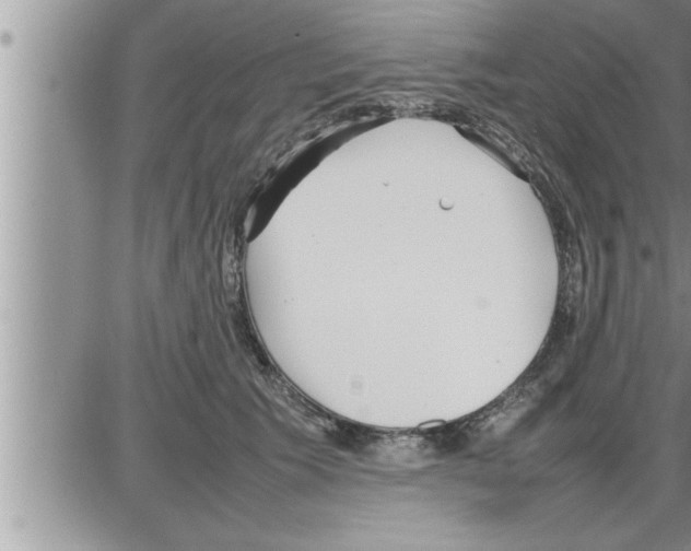 X0000086330609200704271944