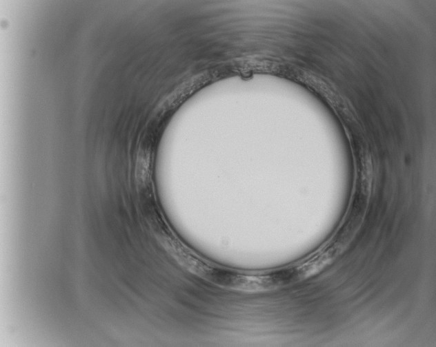 X0000086330610200704271944