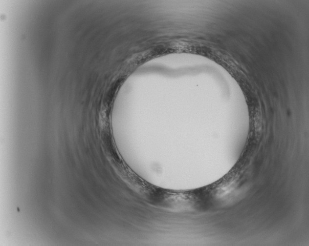 X0000086330611200704271944