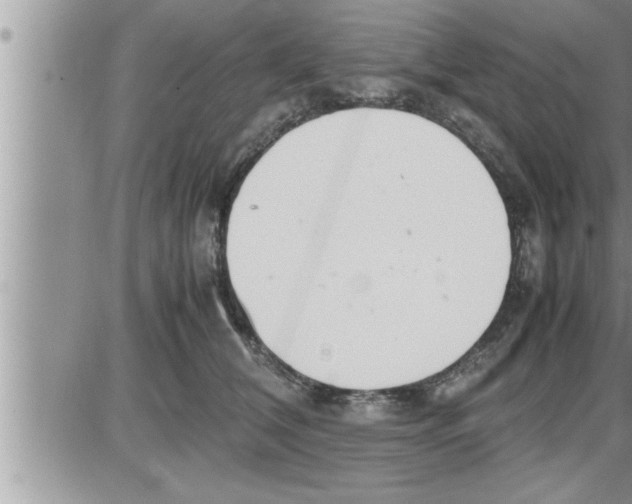 X0000086330612200704271944