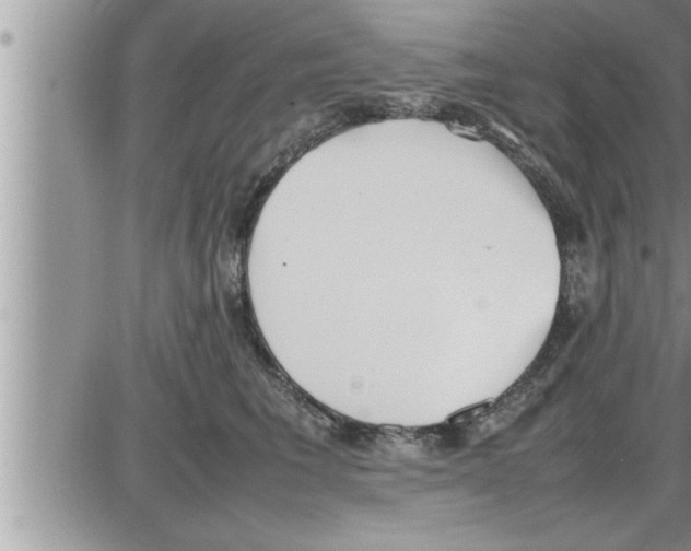 X0000086330613200704271944