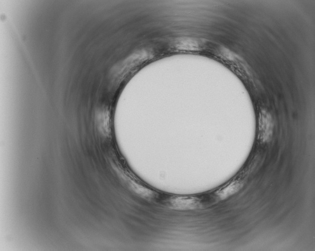 X0000086330614200704271944