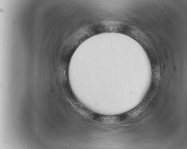 X0000086330615200704271944