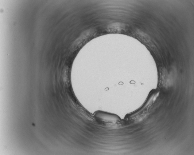 X0000086330616200704271944