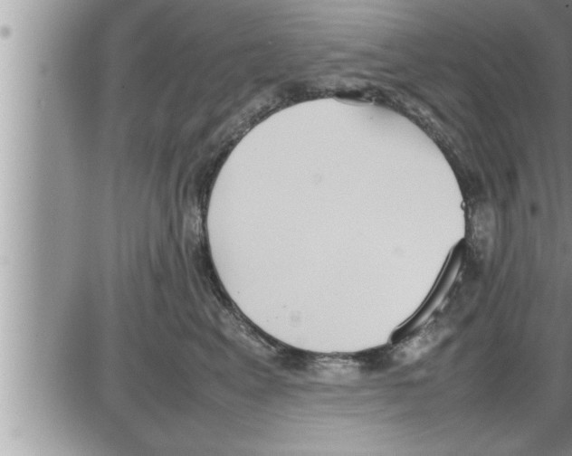 X0000086330617200704271944