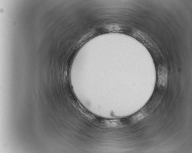 X0000086330618200704271944