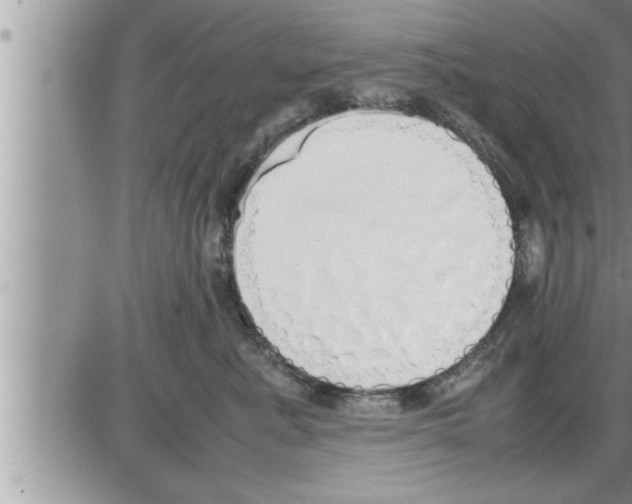 X0000086330619200704271944