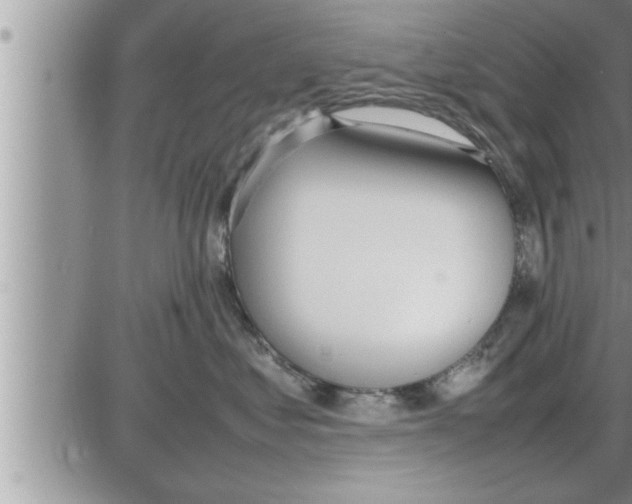 X0000086330621200704271944