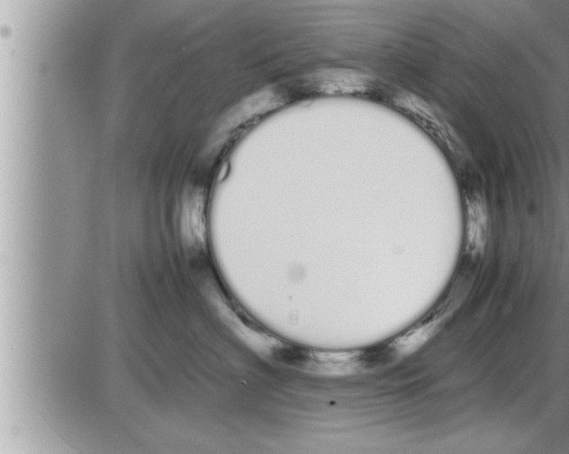 X0000086330622200704271944