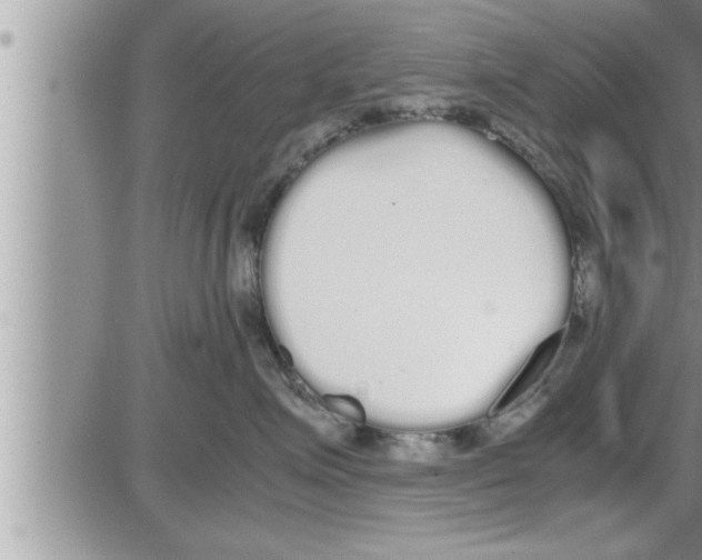 X0000086330623200704271944