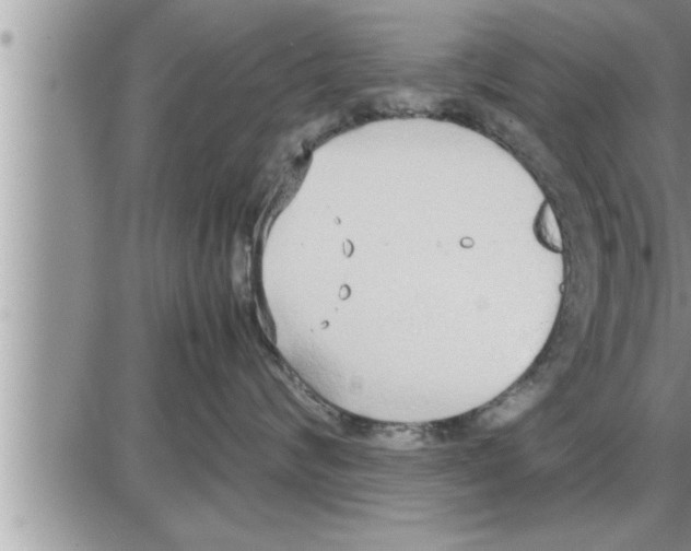 X0000086330624200704271944