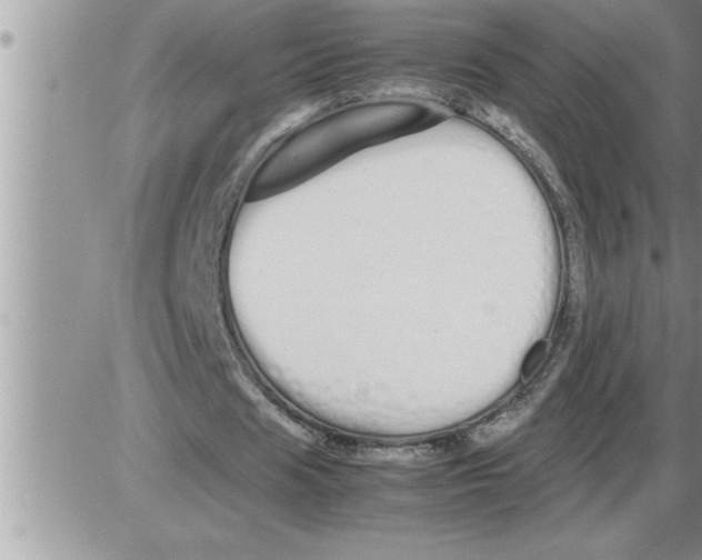 X0000086330625200704271943