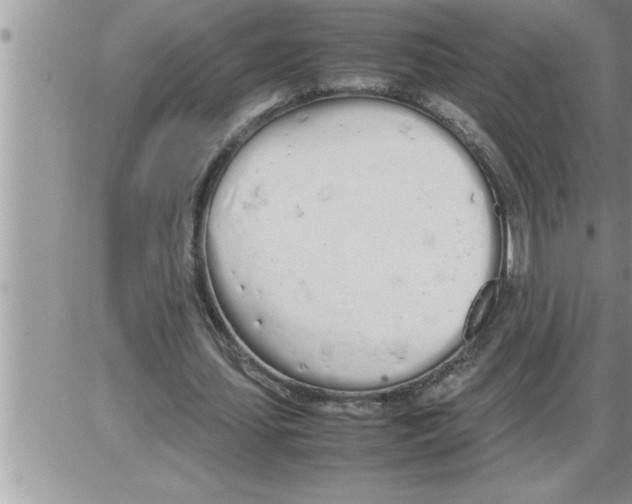 X0000086330627200704271943