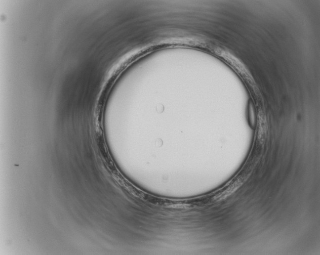 X0000086330628200704271943