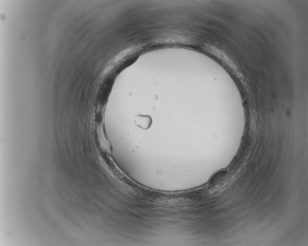 X0000086330629200704271943