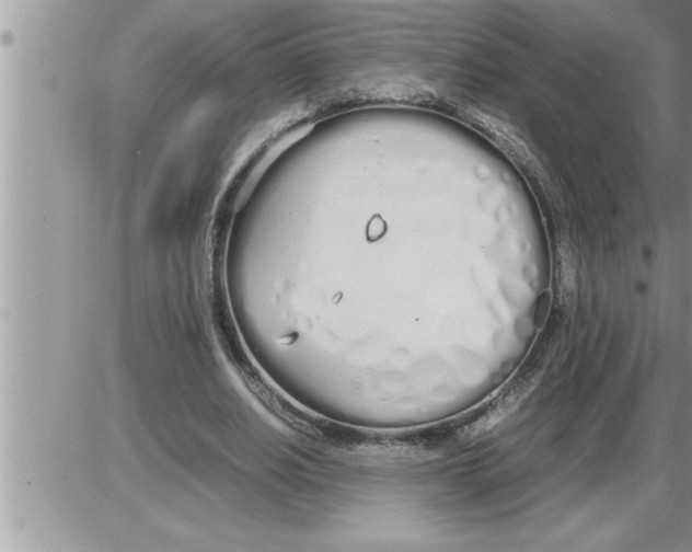 X0000086330630200704271943