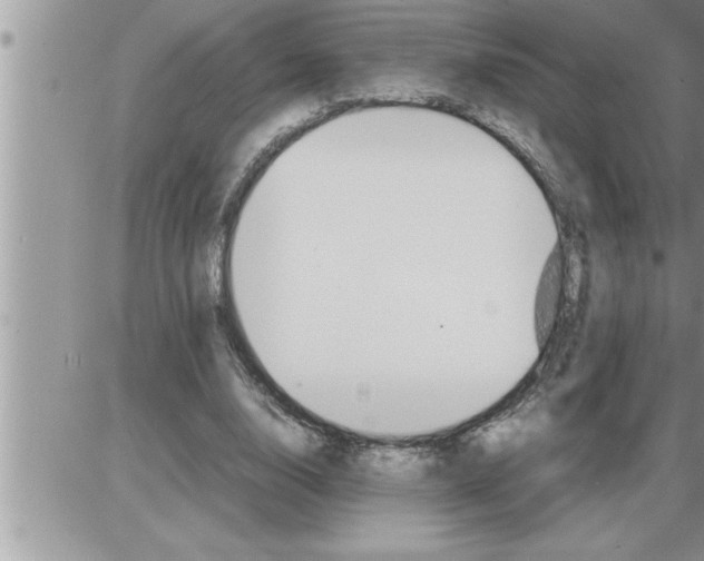 X0000086330632200704271943