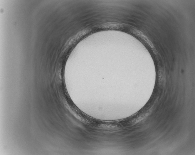 X0000086330633200704271943