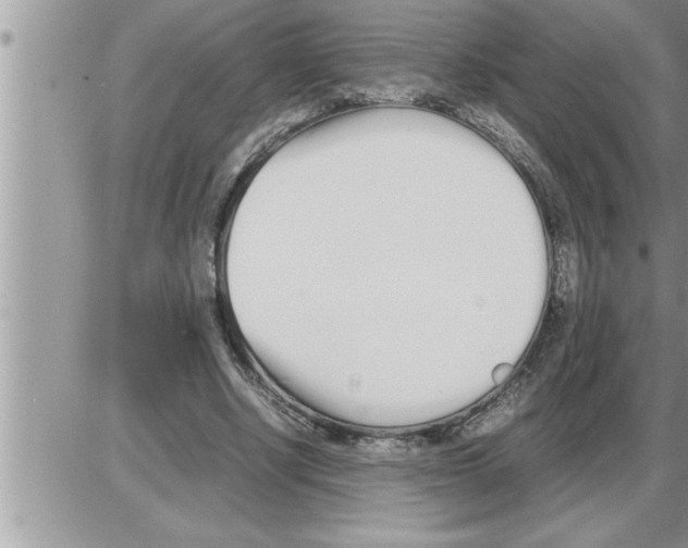 X0000086330634200704271943