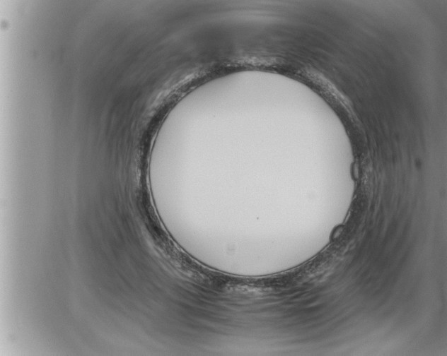 X0000086330635200704271943