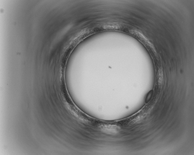 X0000086330637200704271943