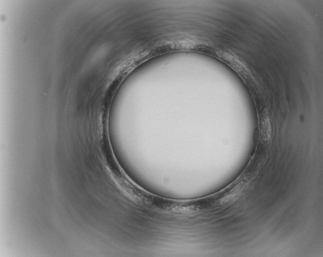 X0000086330638200704271943