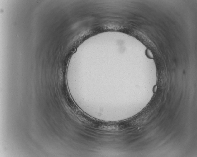 X0000086330639200704271943