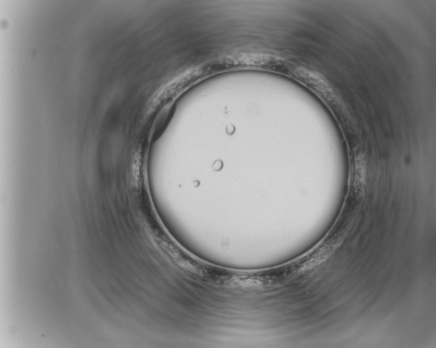 X0000086330640200704271943