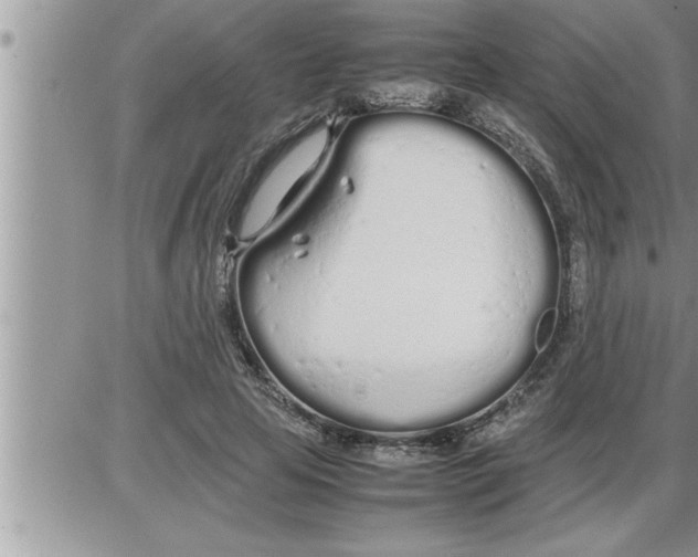 X0000086330641200704271943