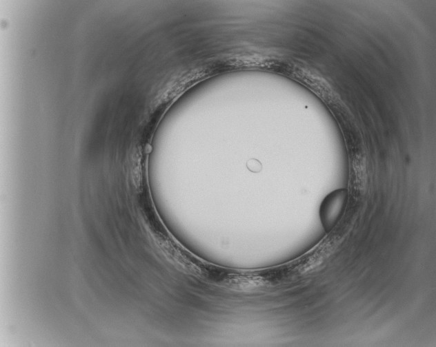 X0000086330642200704271943