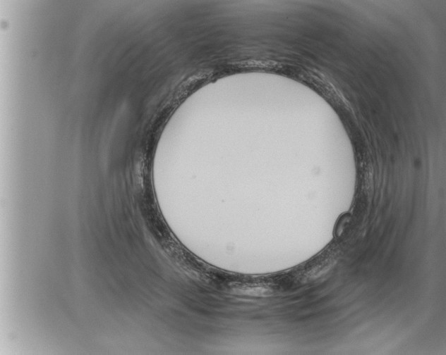 X0000086330643200704271943