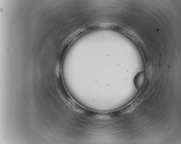 X0000086330644200704271943